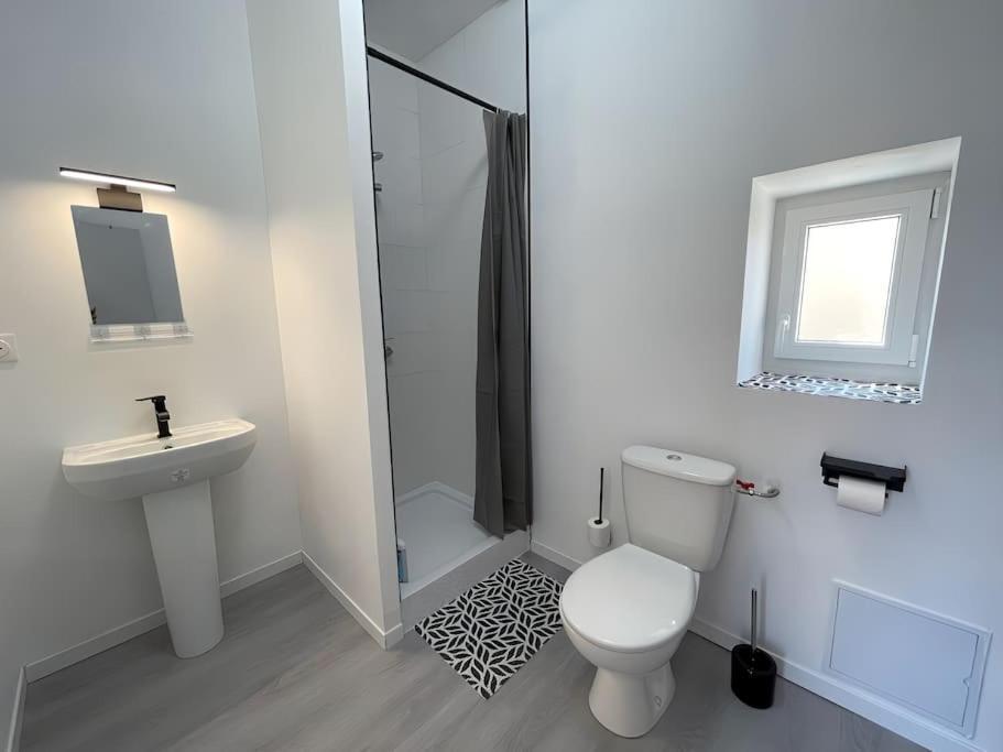 Studio B2 20M2 Cosy 5Min A Pied Des Gares Roanne Eksteriør billede